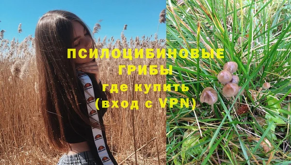 MESCALINE Вязьма