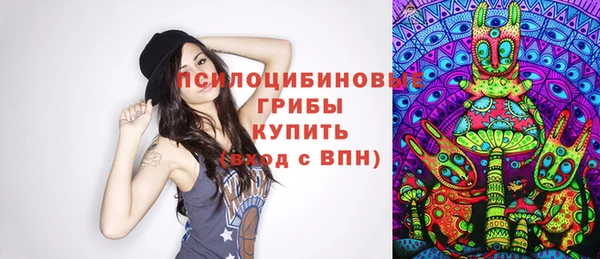 метадон Вяземский