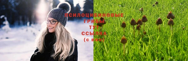 MESCALINE Вязьма