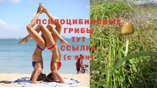 прущий лед Вязники
